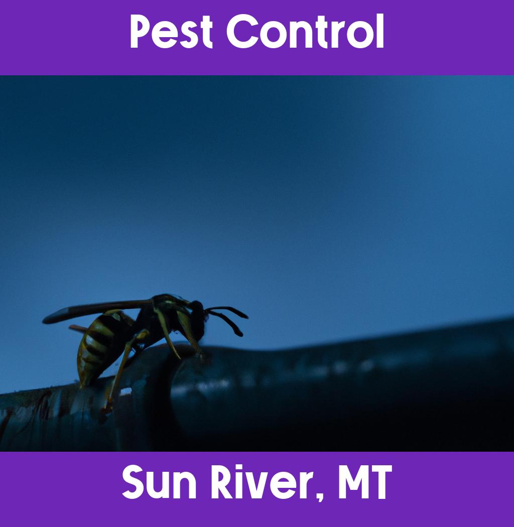 pest control in Sun River Montana