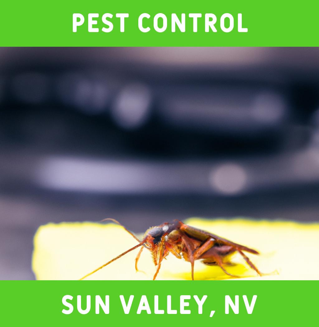 pest control in Sun Valley Nevada