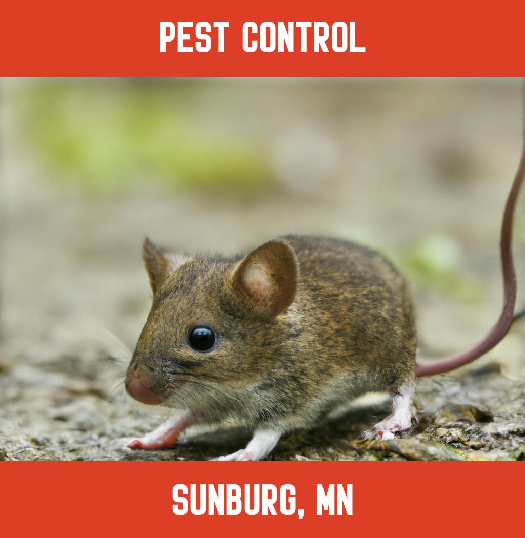 pest control in Sunburg Minnesota