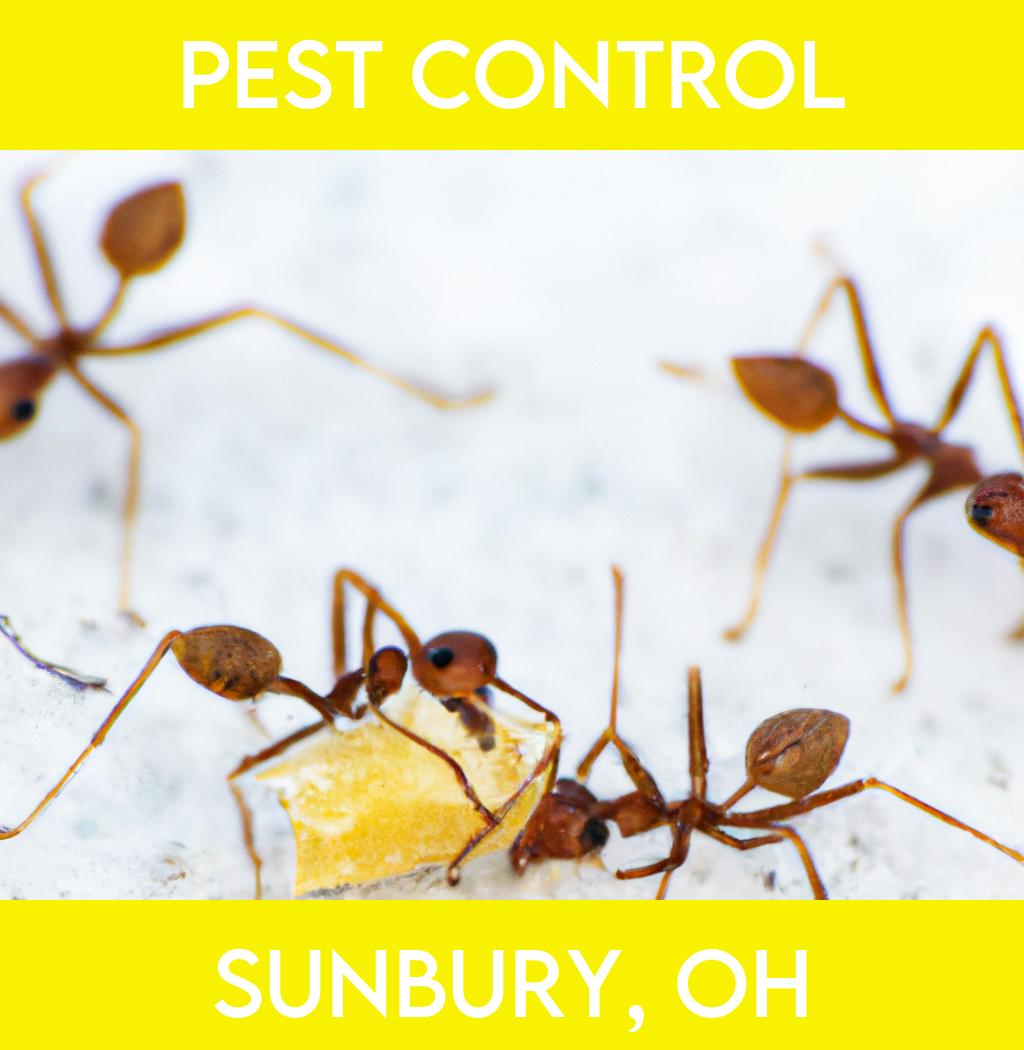 pest control in Sunbury Ohio