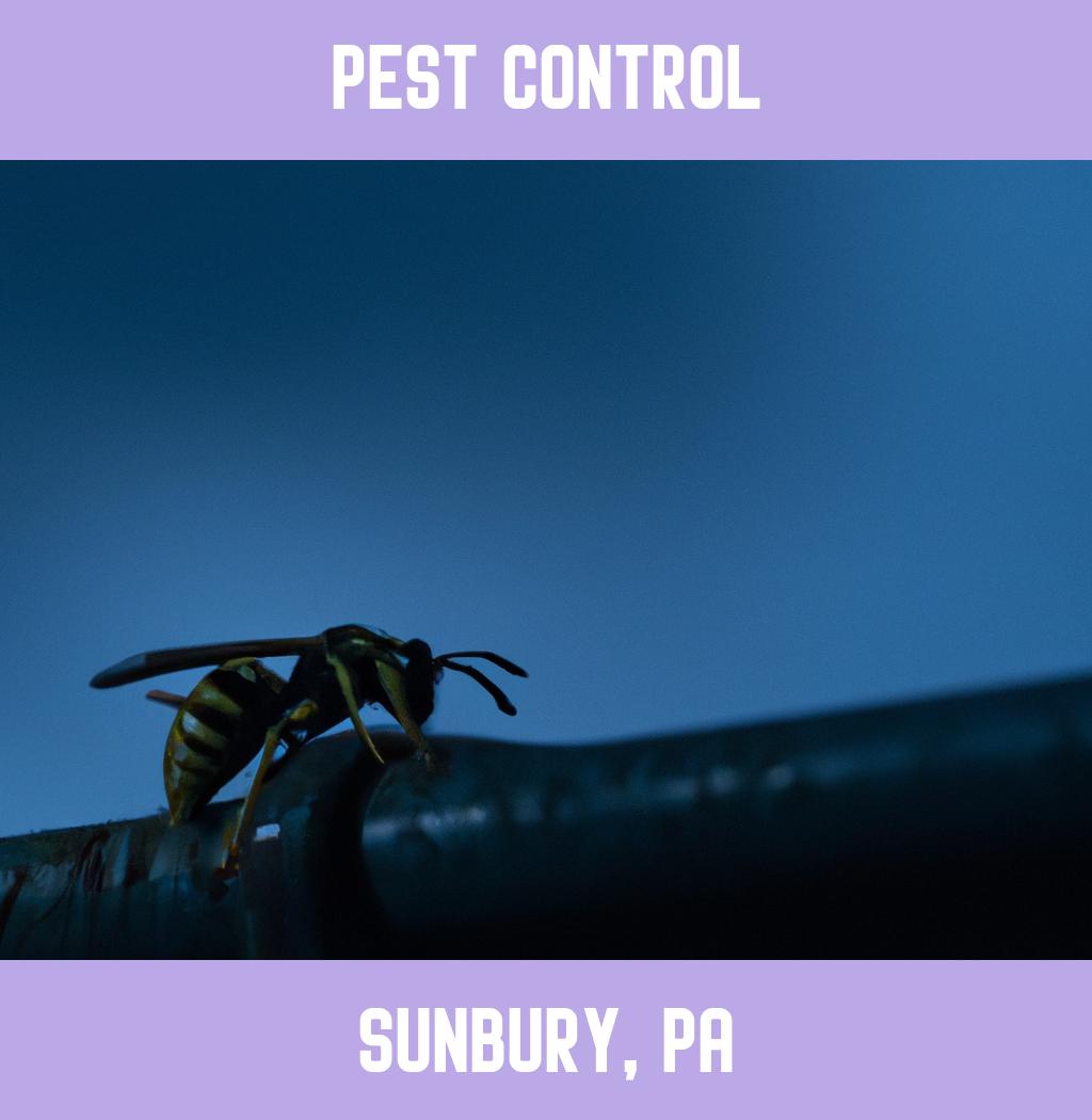 pest control in Sunbury Pennsylvania
