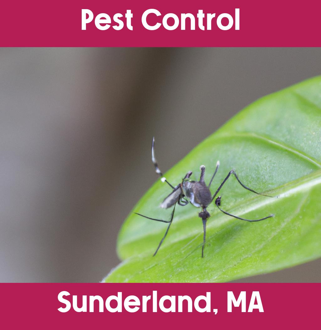 pest control in Sunderland Massachusetts
