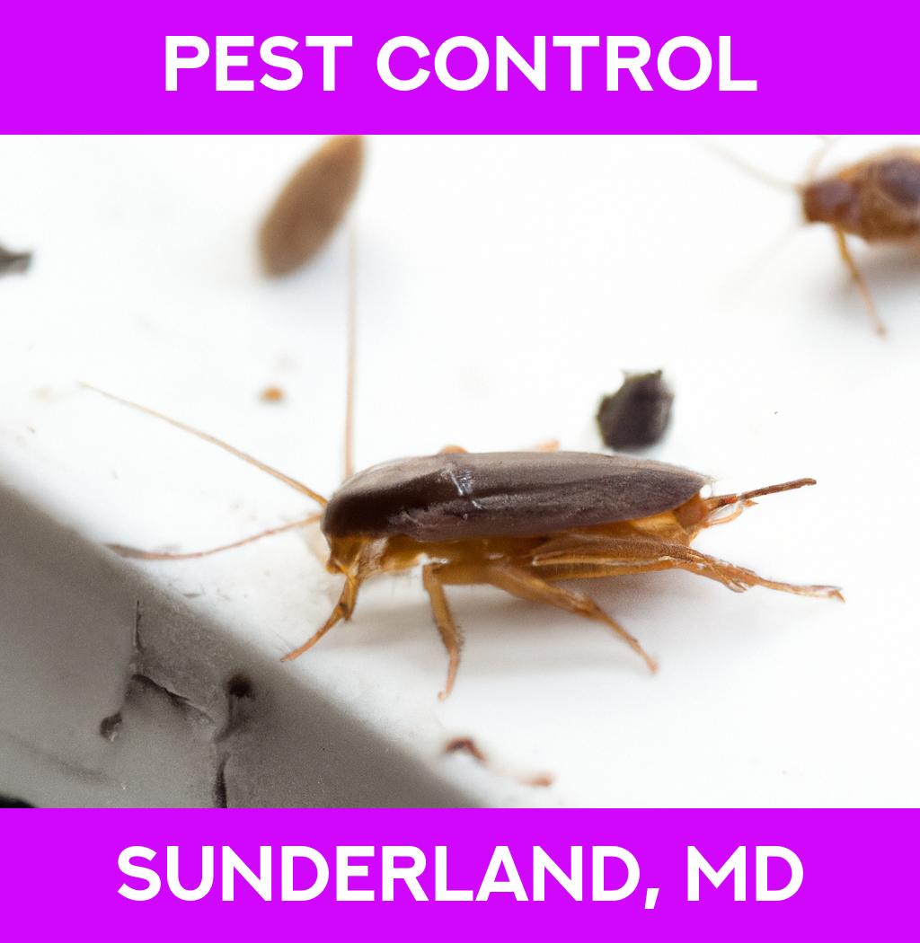pest control in Sunderland Maryland