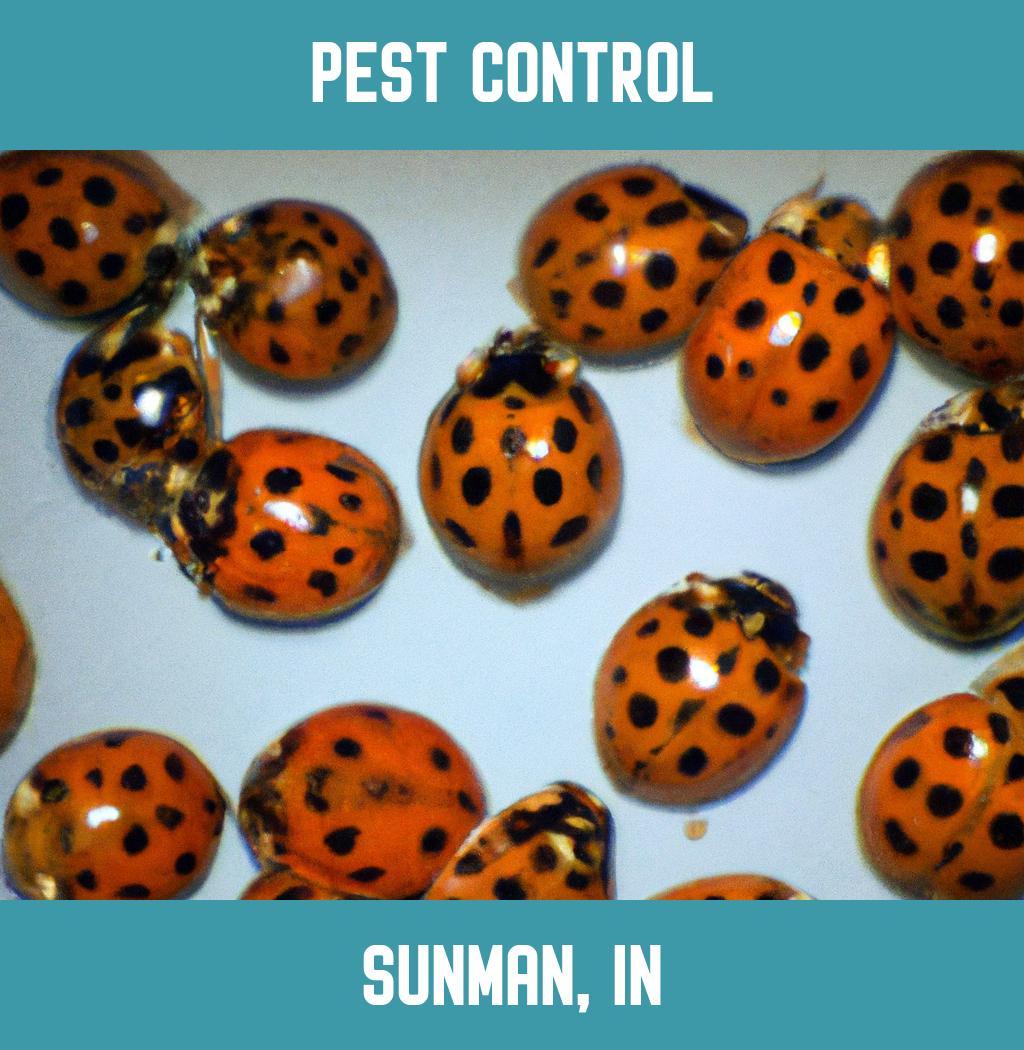 pest control in Sunman Indiana