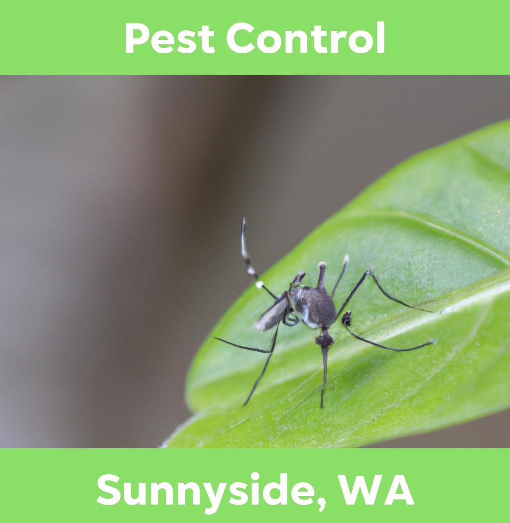 pest control in Sunnyside Washington