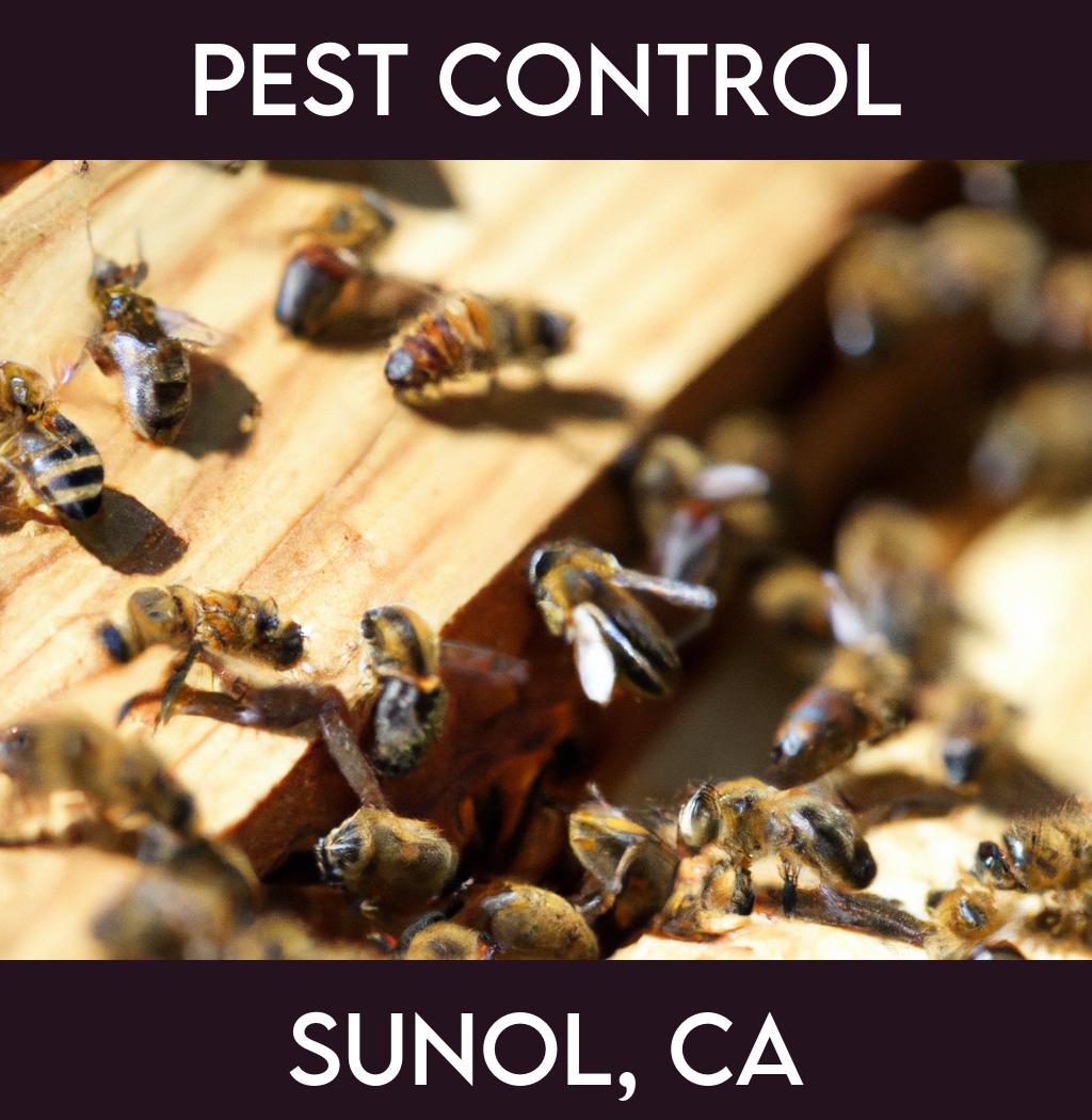pest control in Sunol California