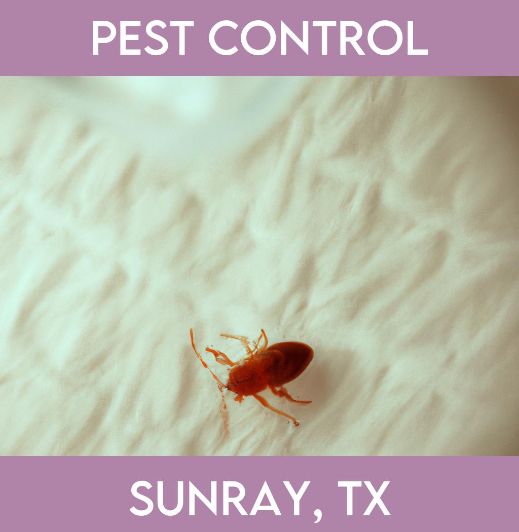 pest control in Sunray Texas