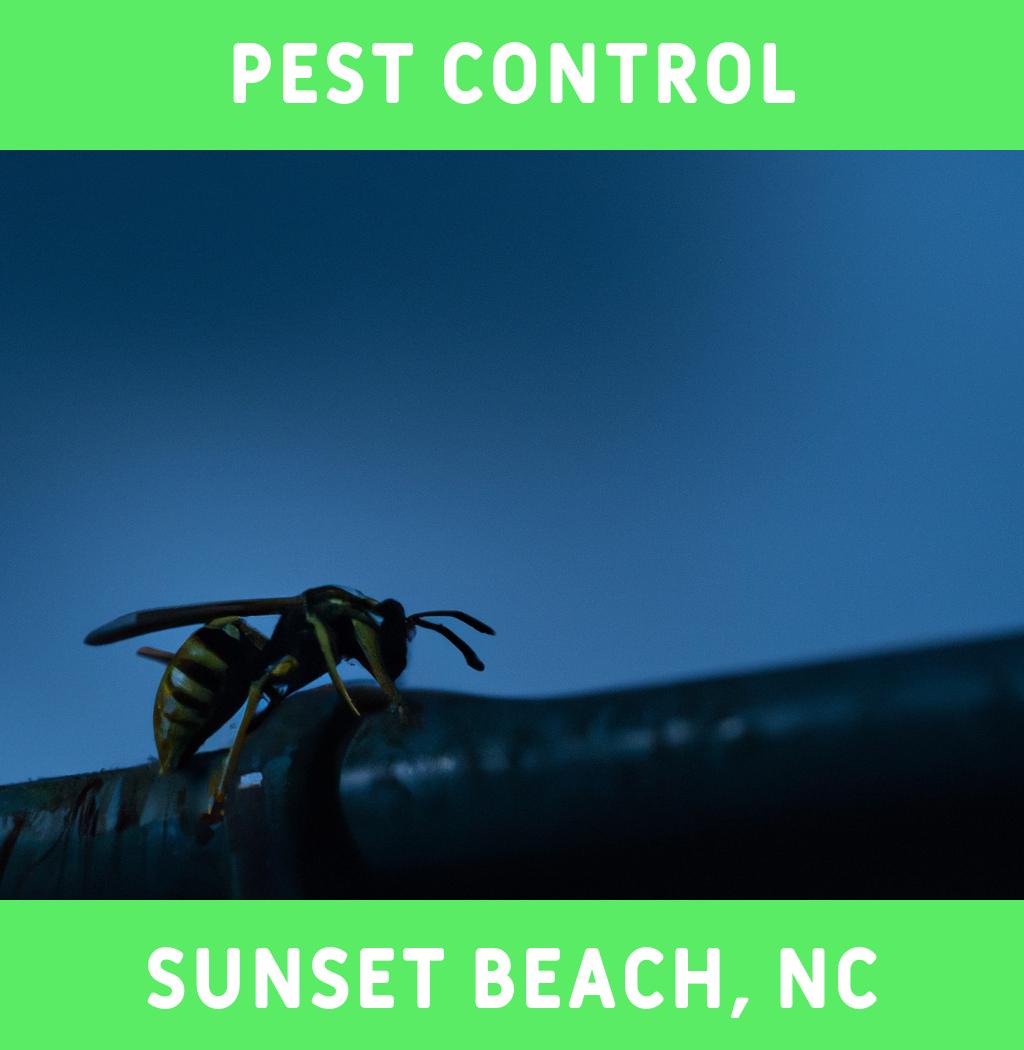 pest control in Sunset Beach North Carolina