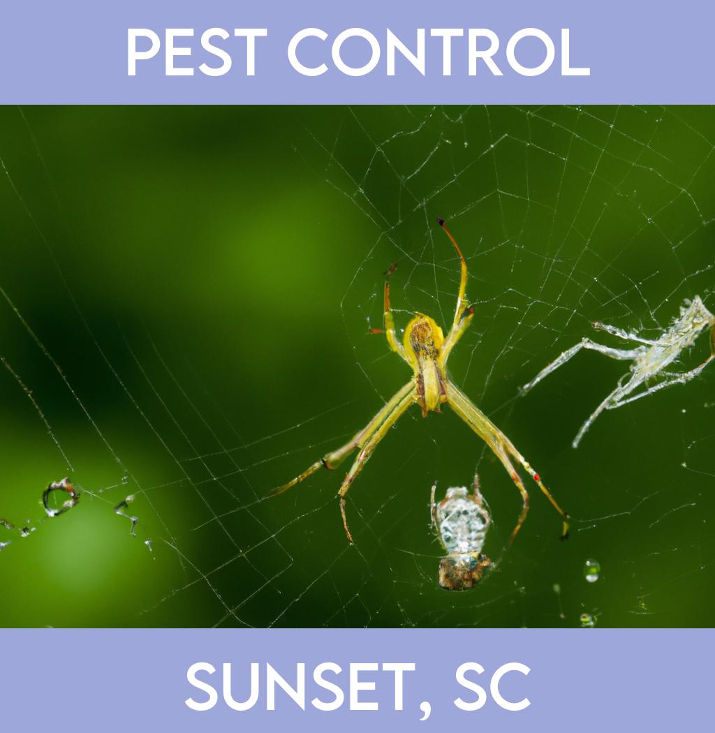 pest control in Sunset South Carolina