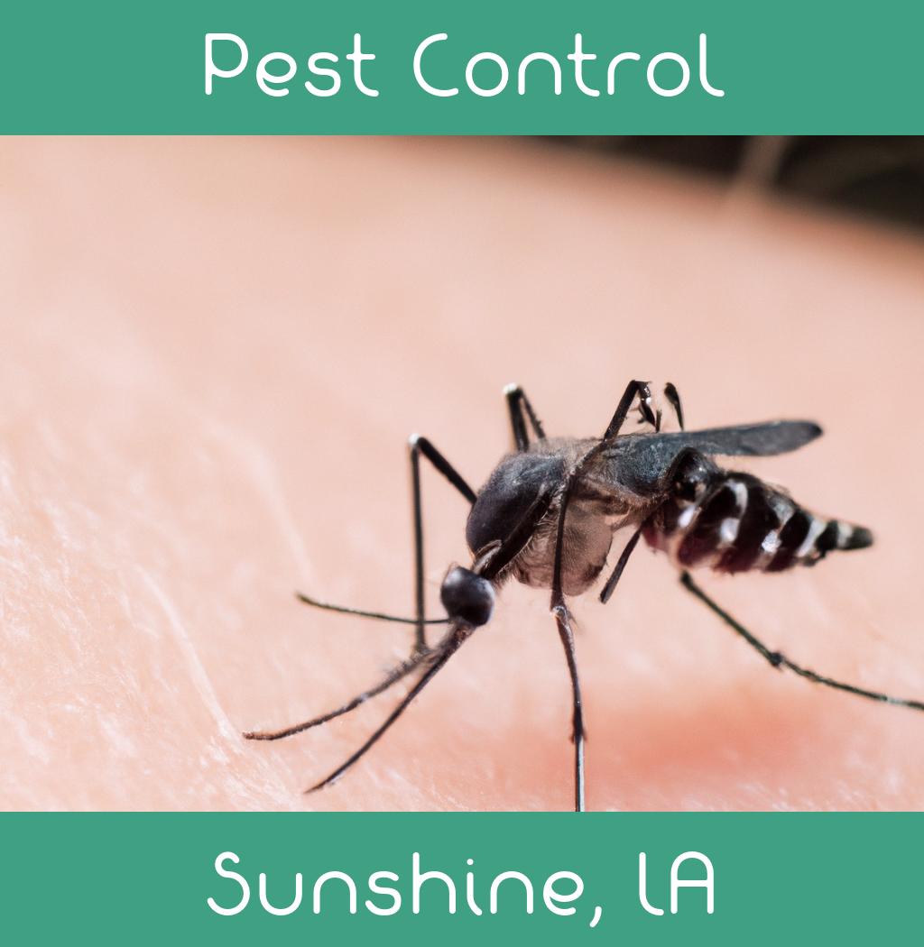pest control in Sunshine Louisiana