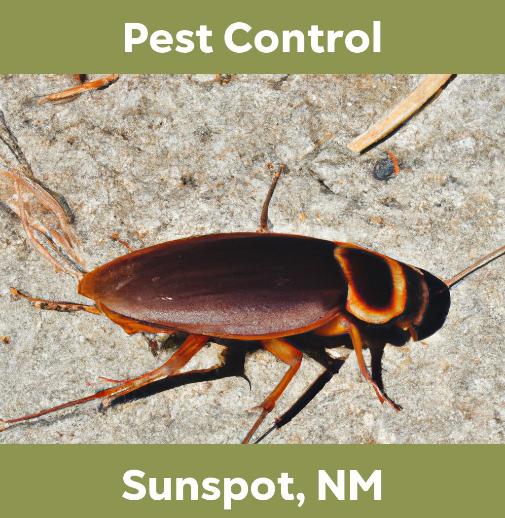 pest control in Sunspot New Mexico