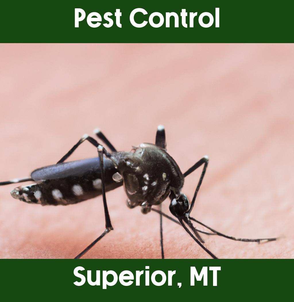 pest control in Superior Montana