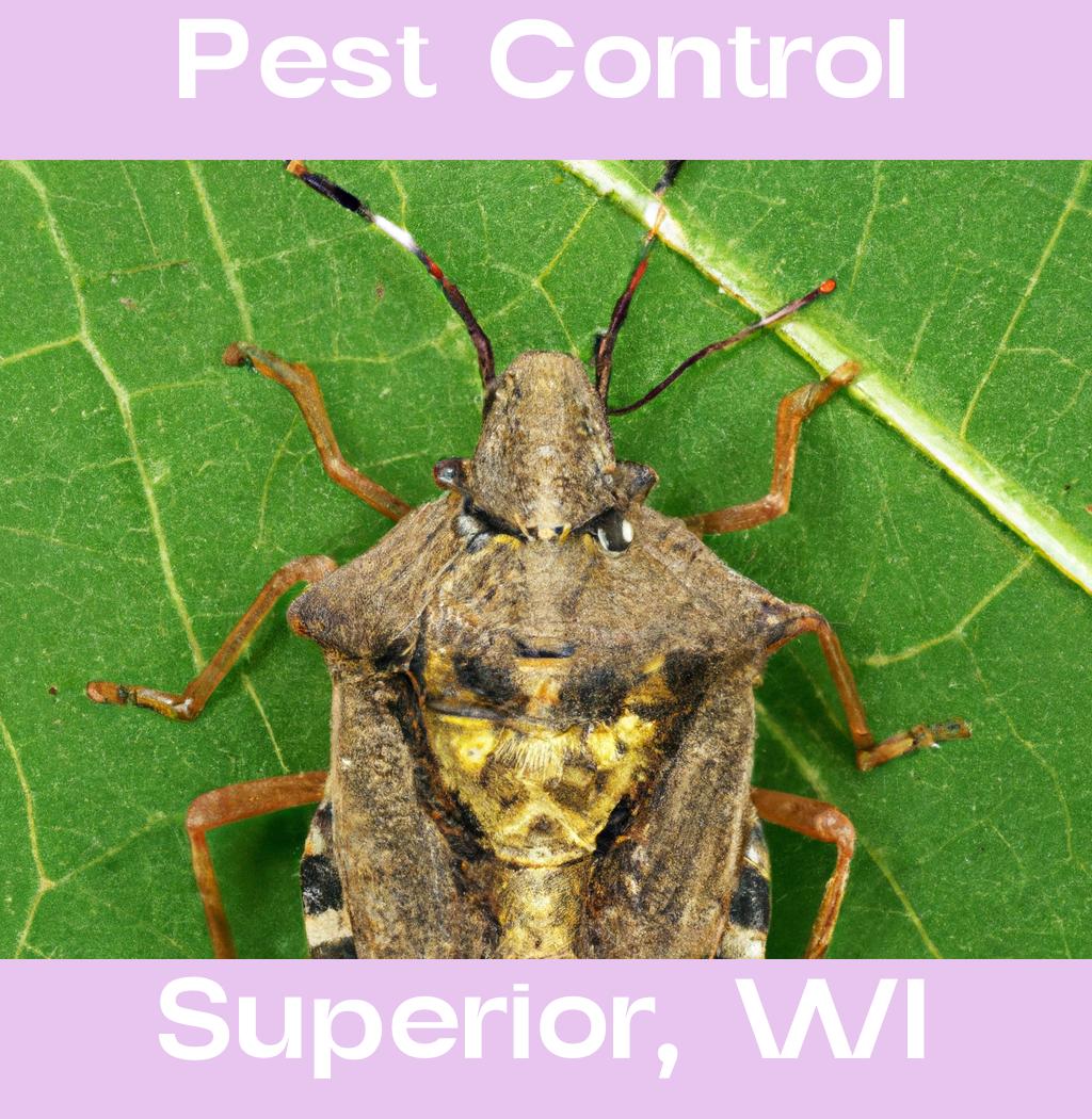pest control in Superior Wisconsin