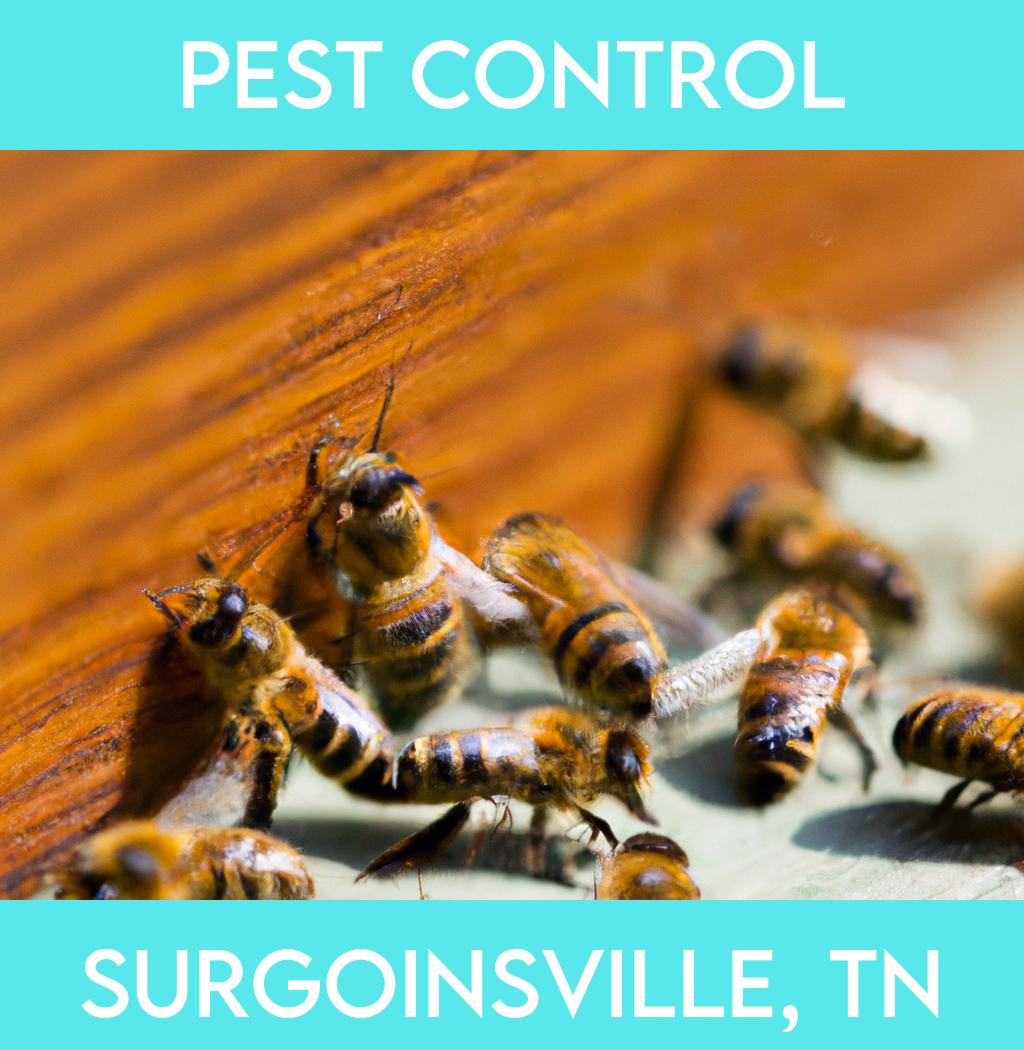 pest control in Surgoinsville Tennessee
