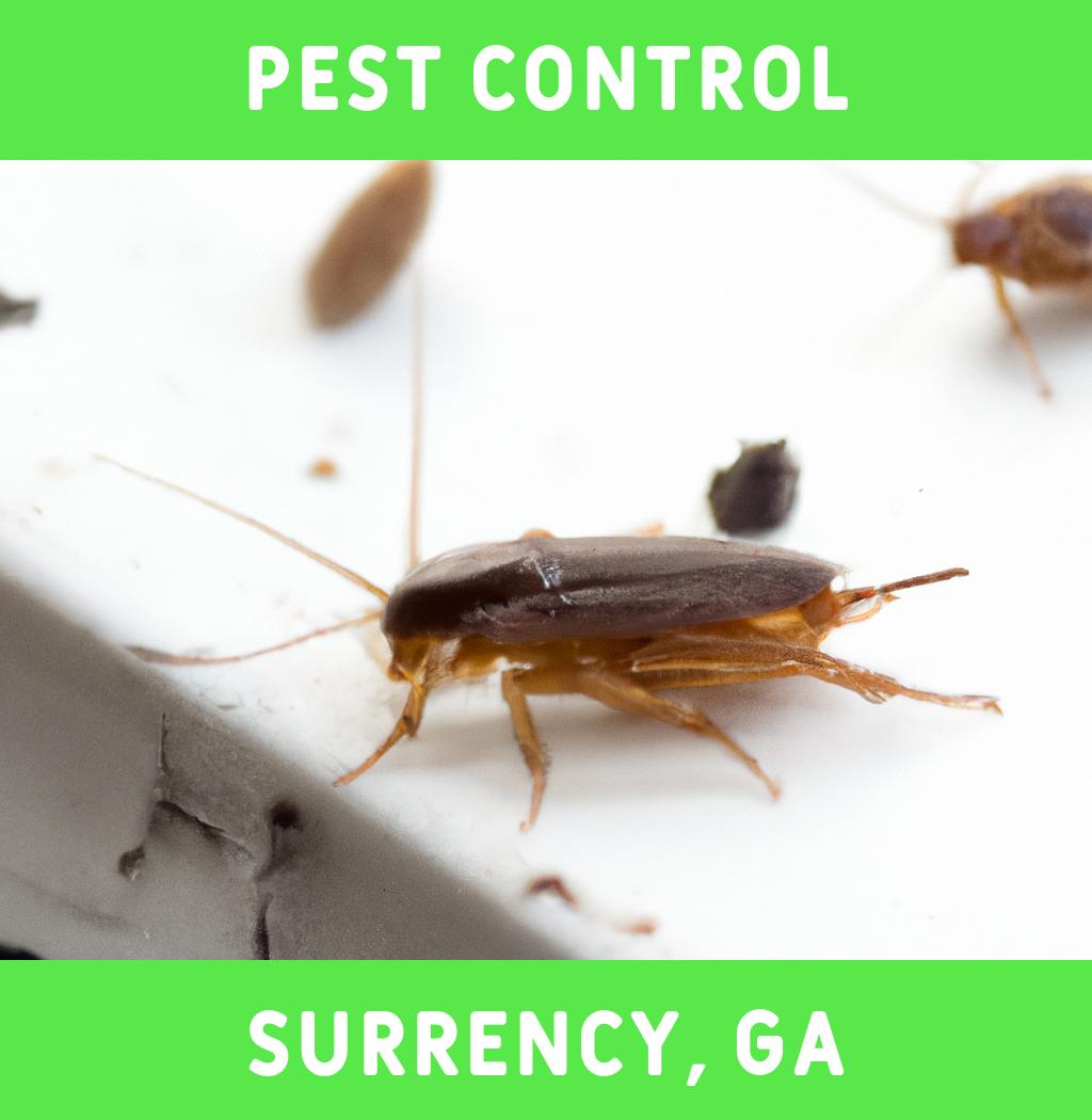 pest control in Surrency Georgia