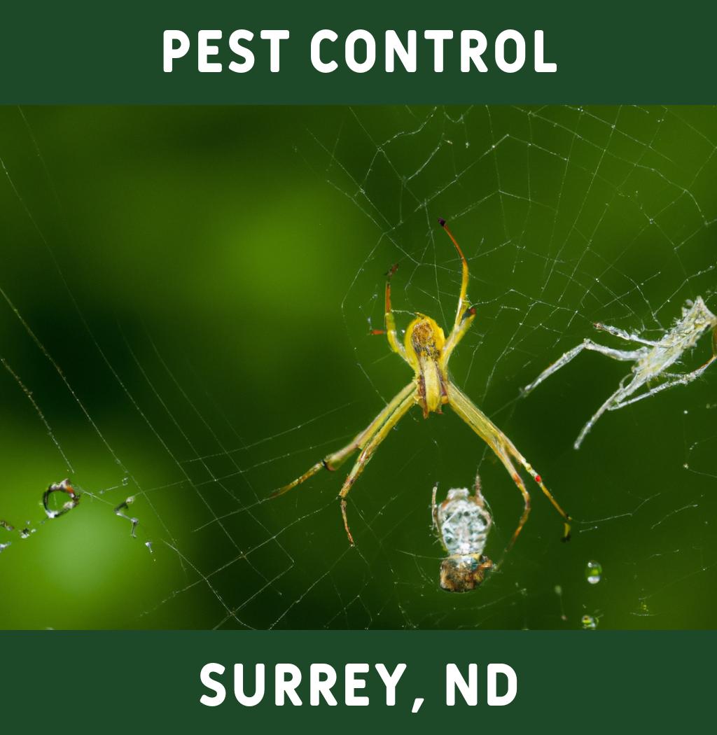 pest control in Surrey North Dakota