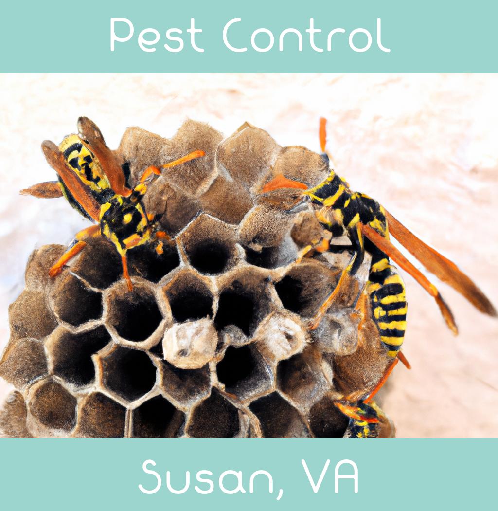 pest control in Susan Virginia