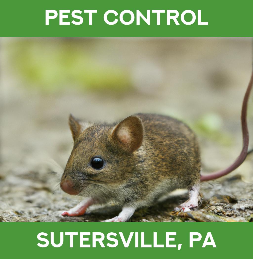 pest control in Sutersville Pennsylvania