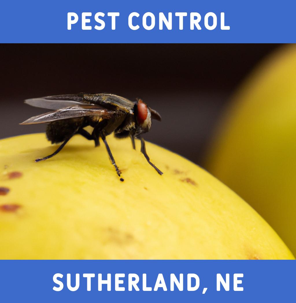 pest control in Sutherland Nebraska