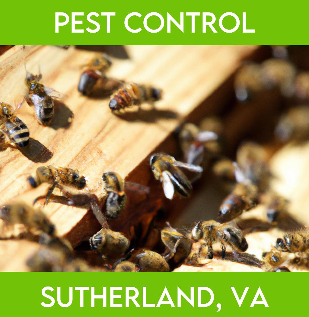 pest control in Sutherland Virginia