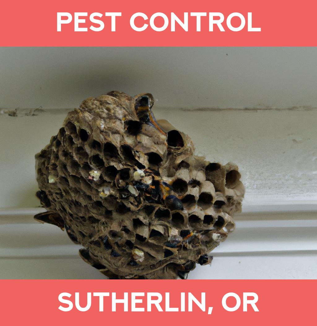 pest control in Sutherlin Oregon