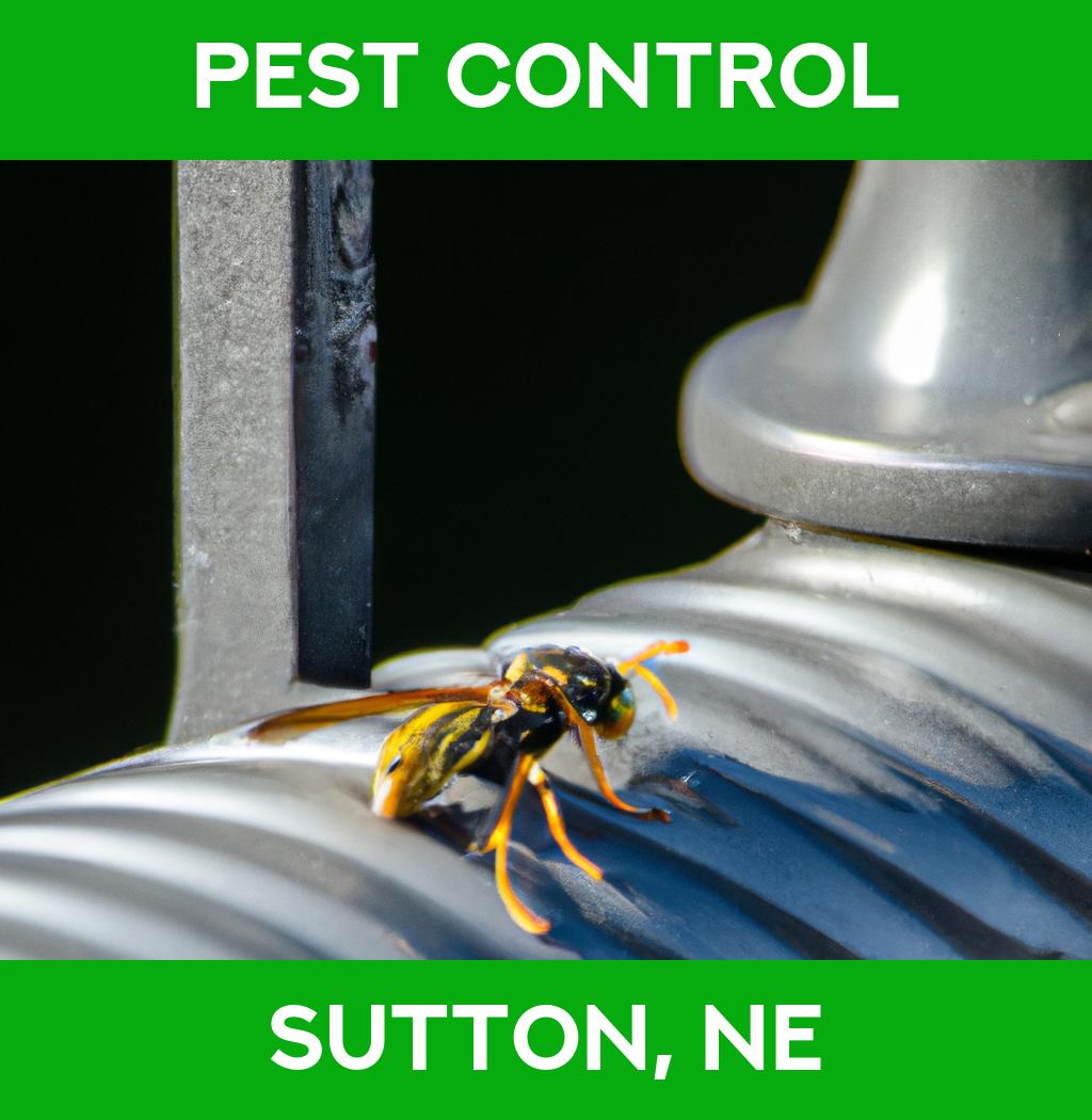 pest control in Sutton Nebraska