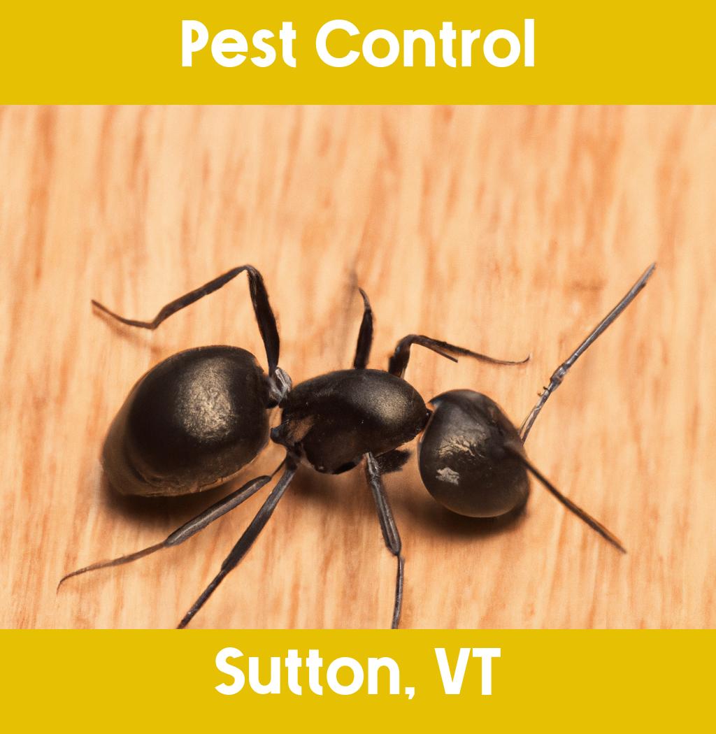 pest control in Sutton Vermont