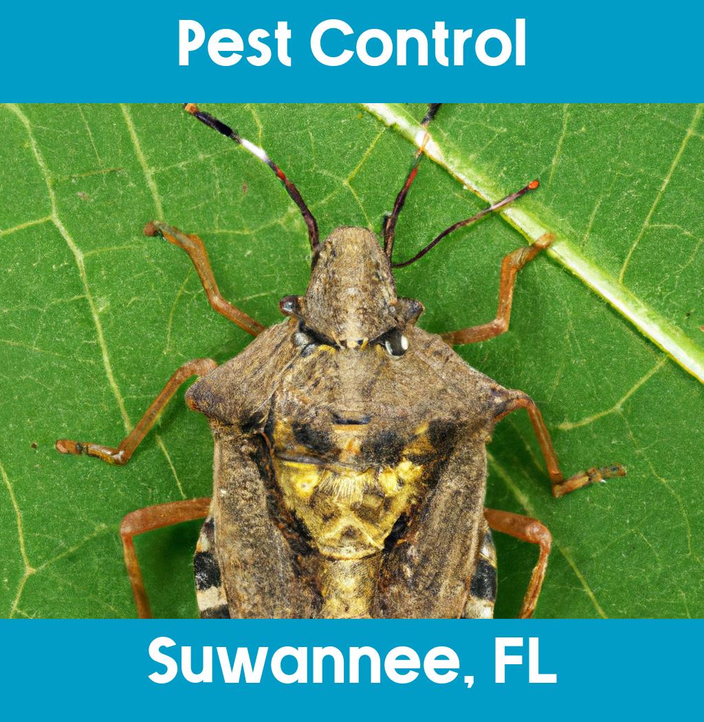 pest control in Suwannee Florida