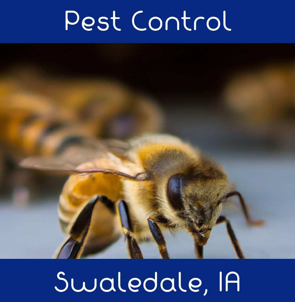 pest control in Swaledale Iowa