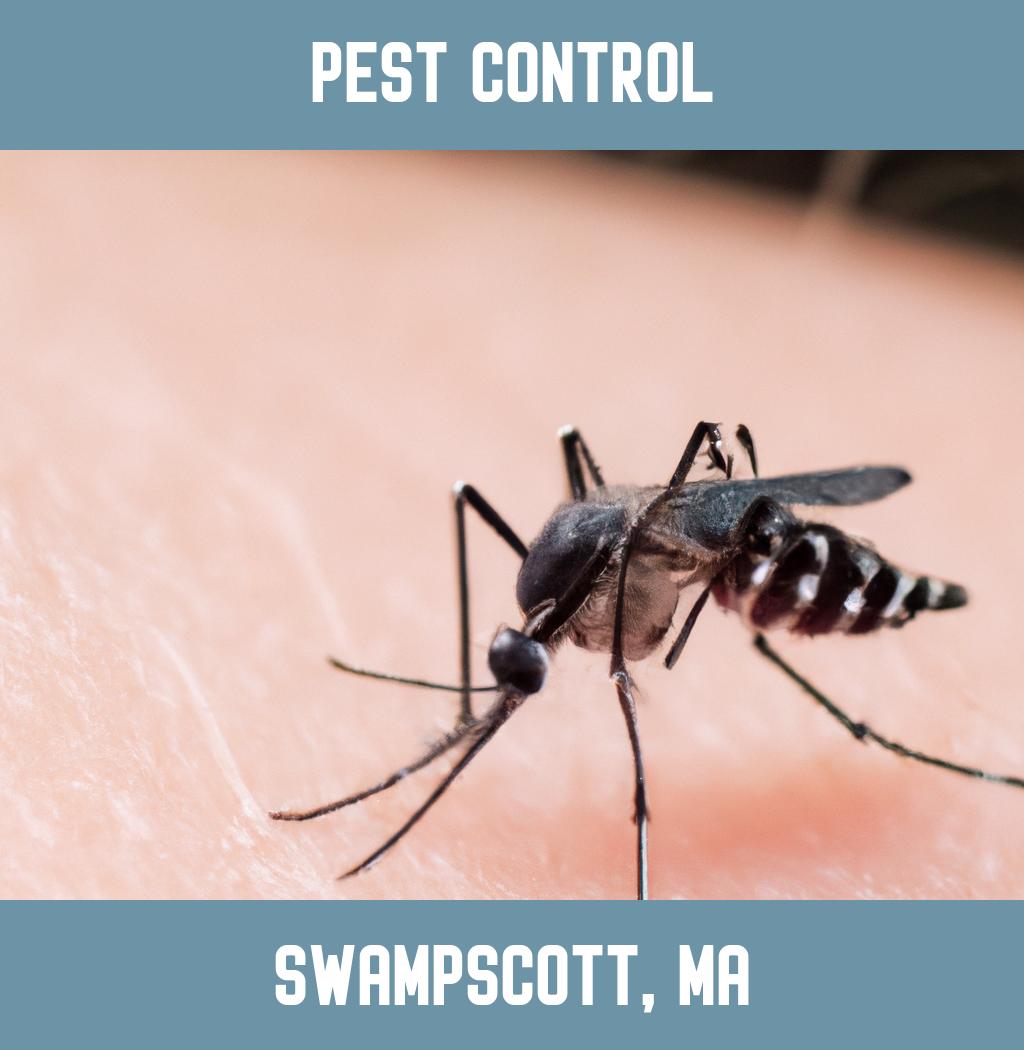 pest control in Swampscott Massachusetts