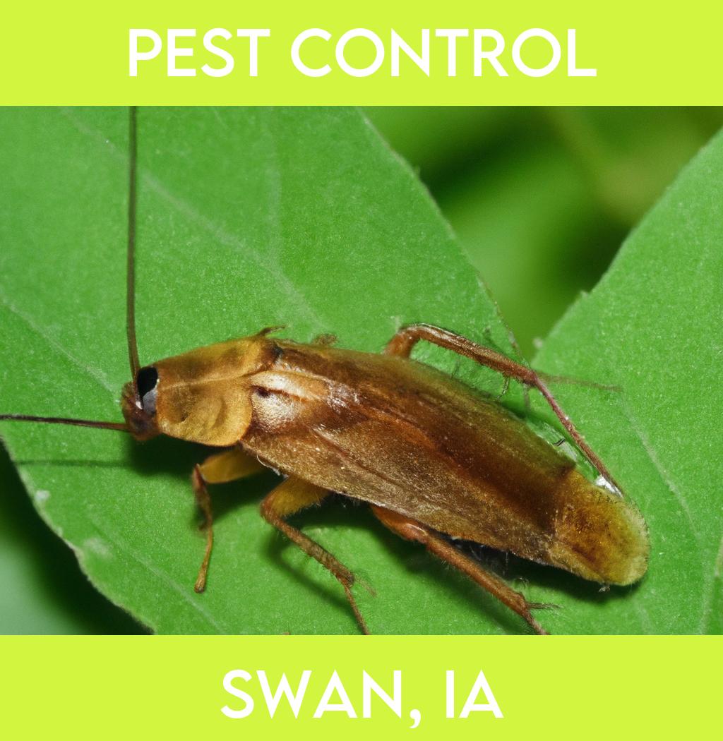 pest control in Swan Iowa