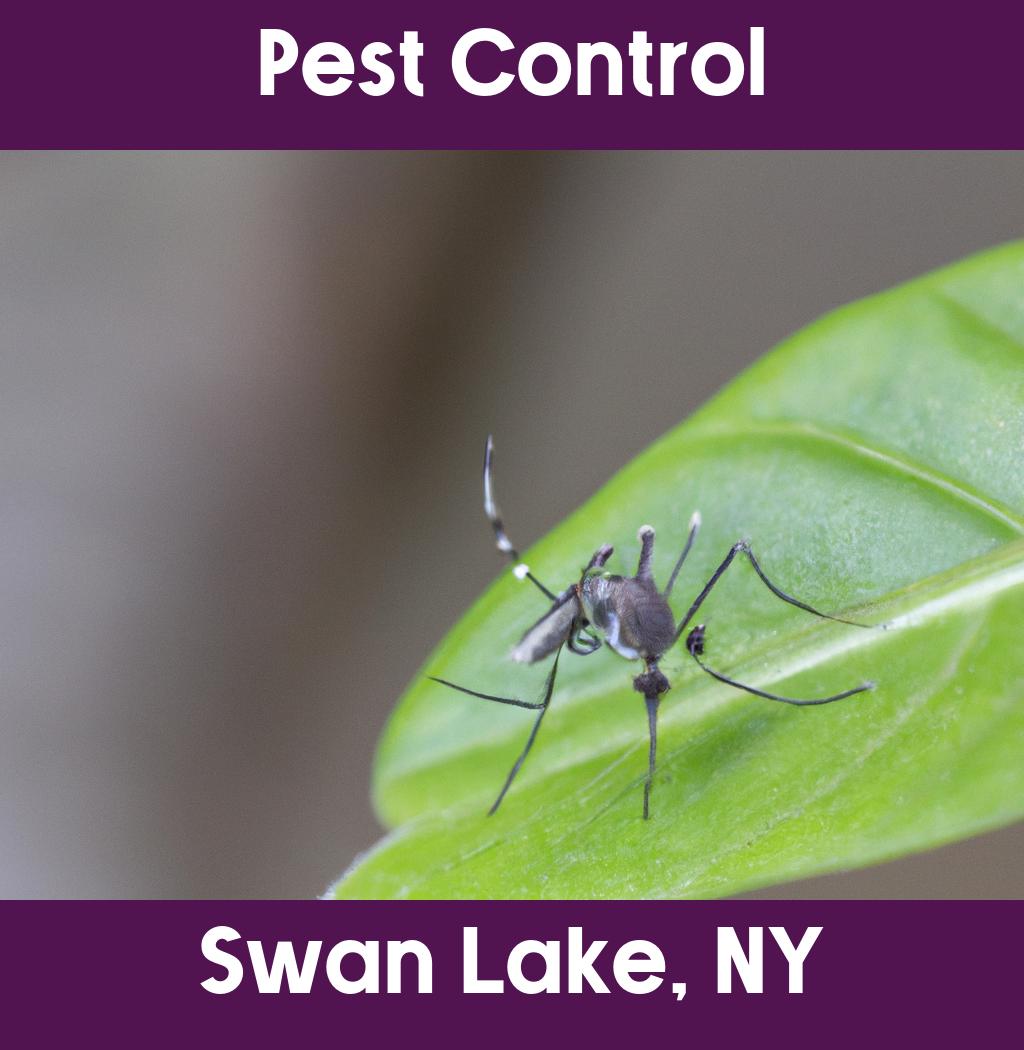 pest control in Swan Lake New York