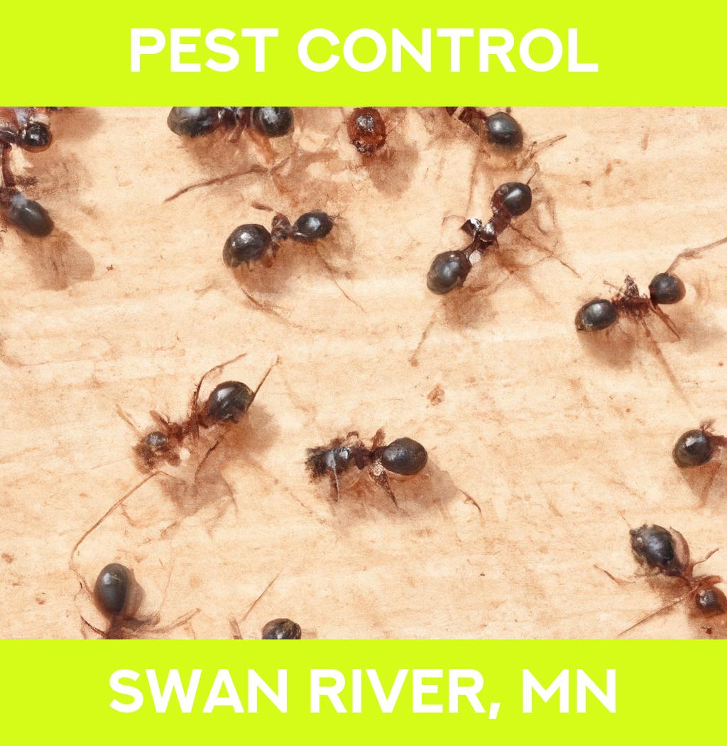 pest control in Swan River Minnesota