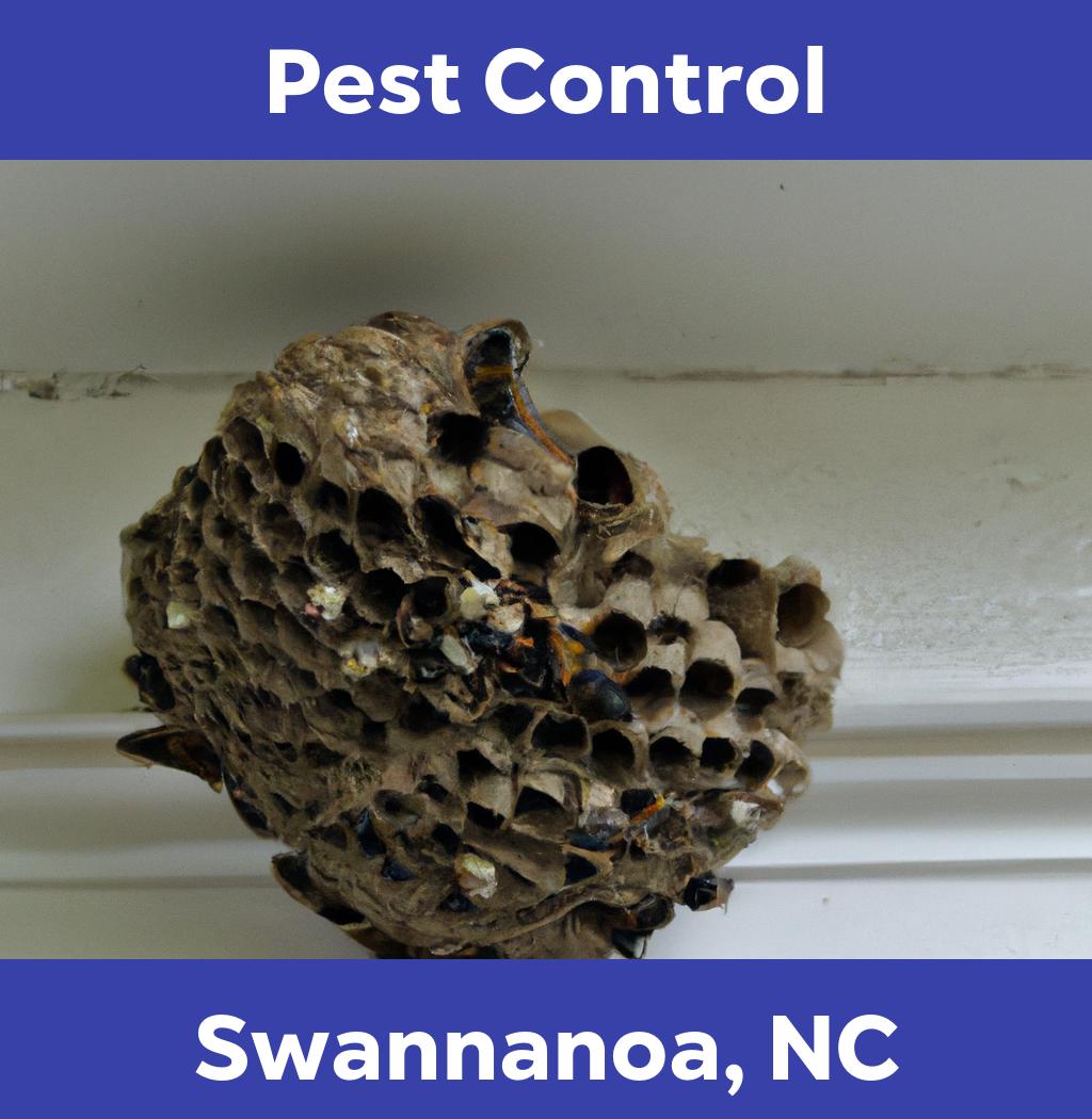 pest control in Swannanoa North Carolina