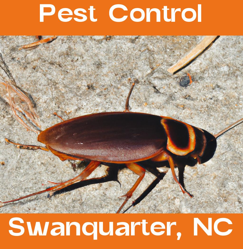 pest control in Swanquarter North Carolina