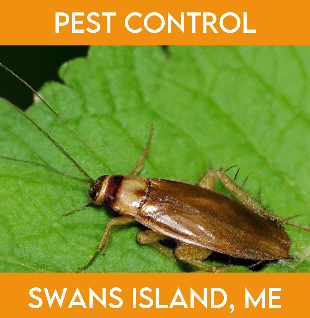 pest control in Swans Island Maine