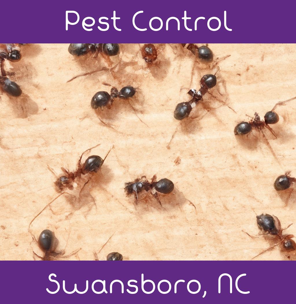 pest control in Swansboro North Carolina