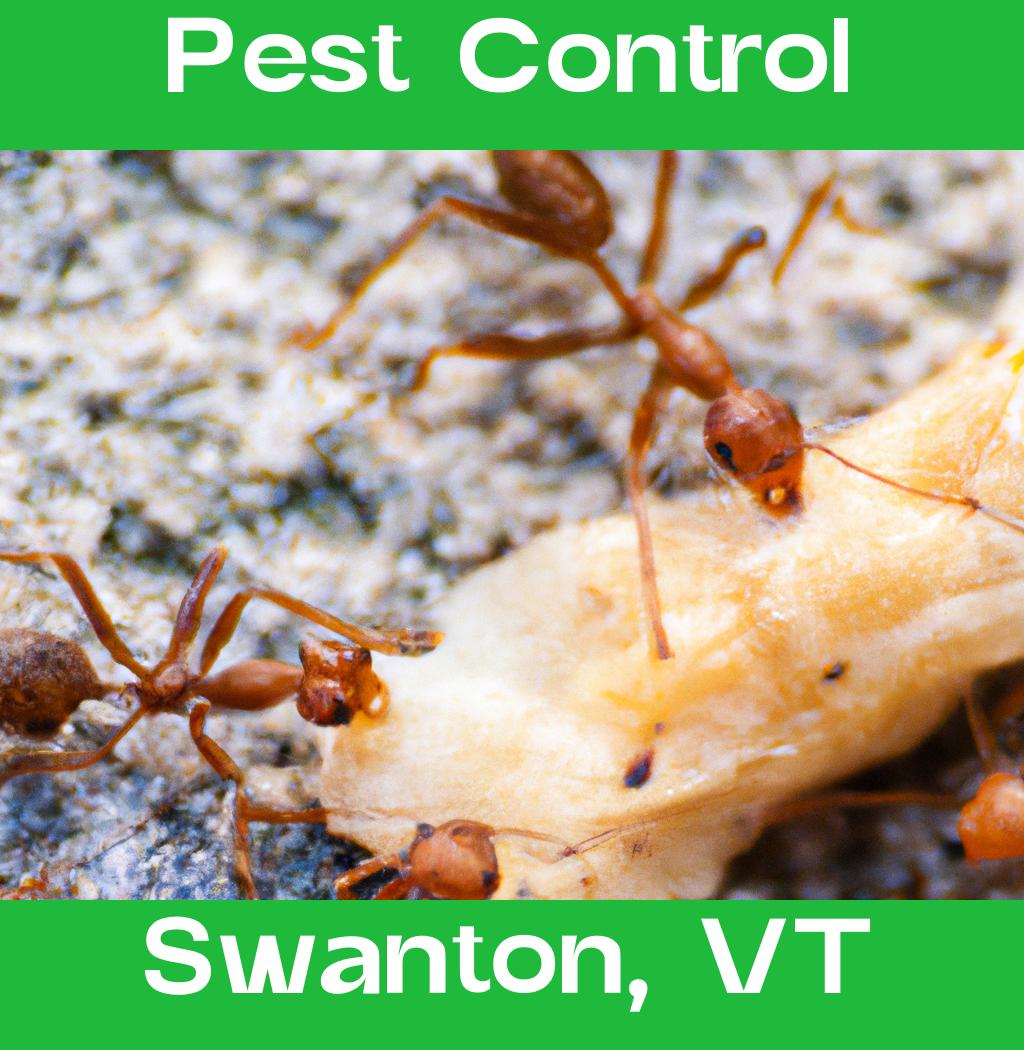 pest control in Swanton Vermont