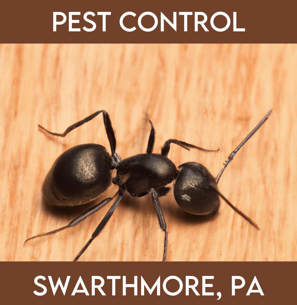 pest control in Swarthmore Pennsylvania