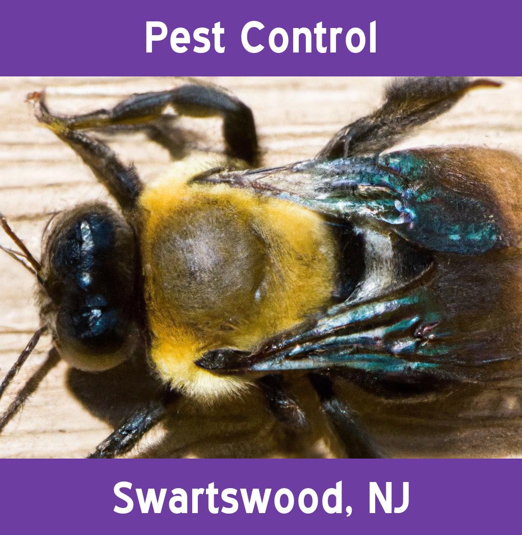 pest control in Swartswood New Jersey