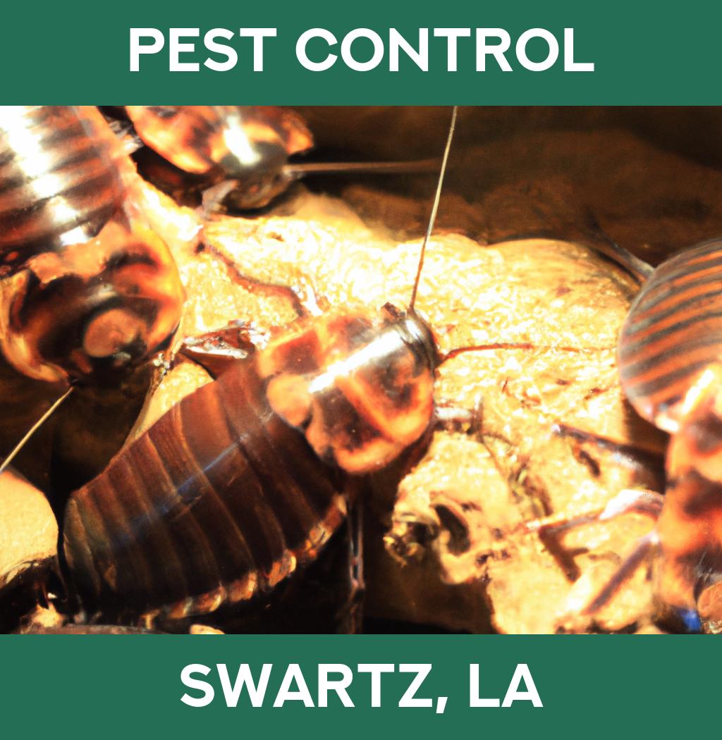 pest control in Swartz Louisiana