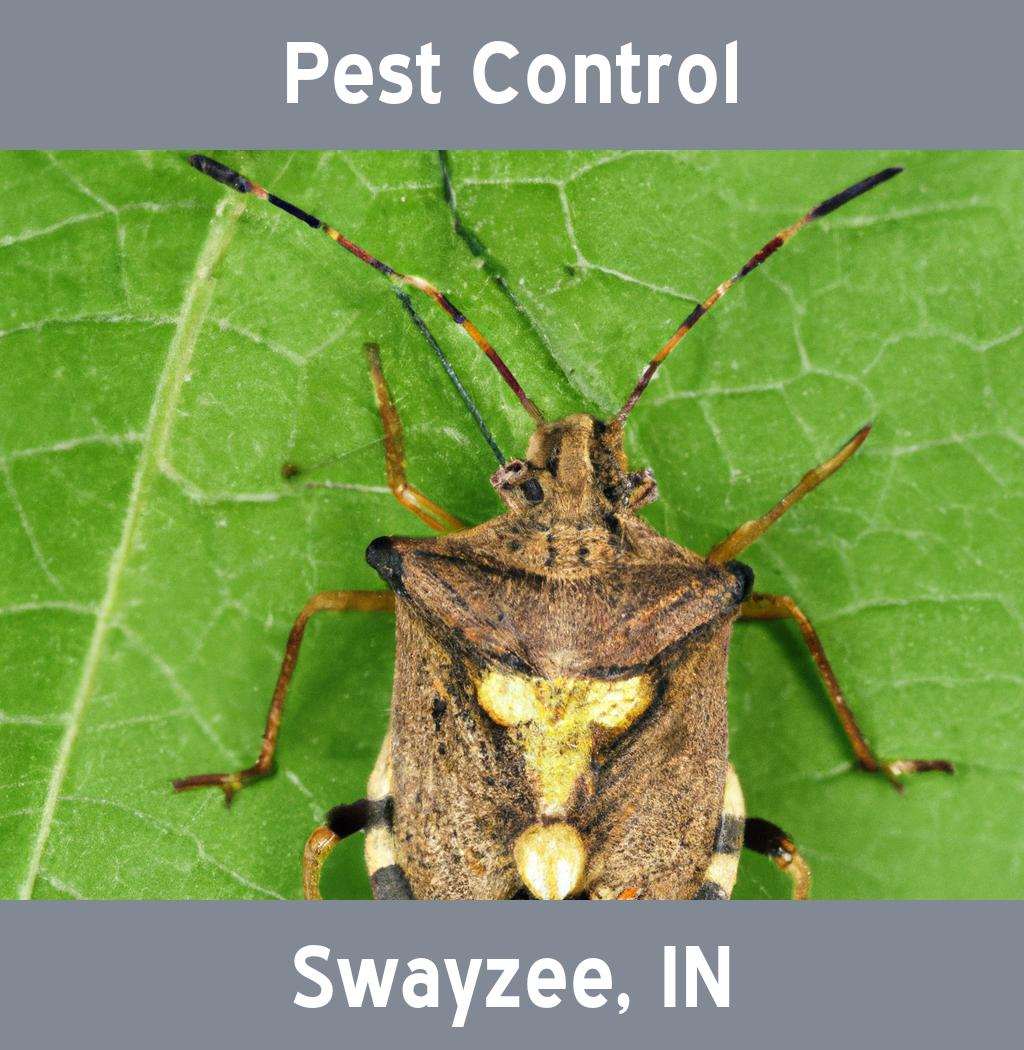 pest control in Swayzee Indiana