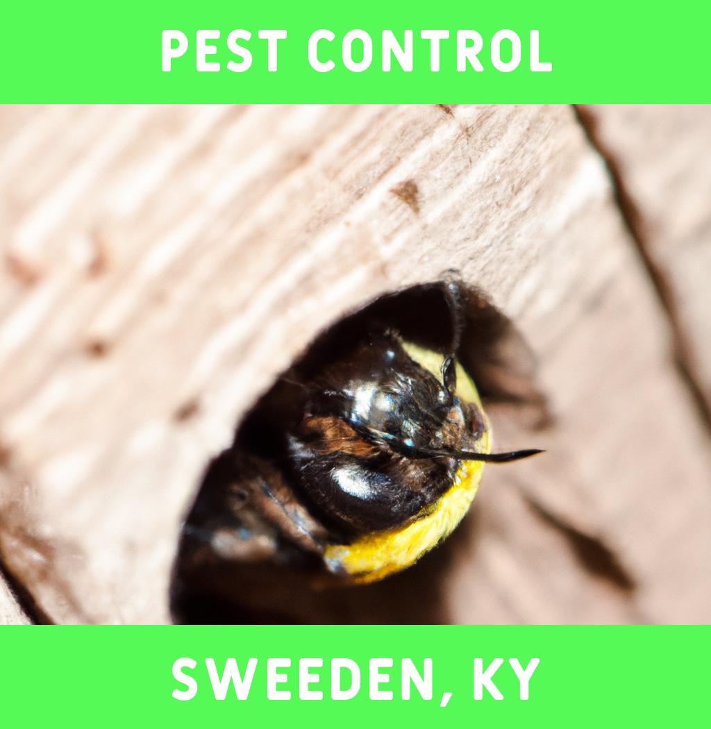pest control in Sweeden Kentucky