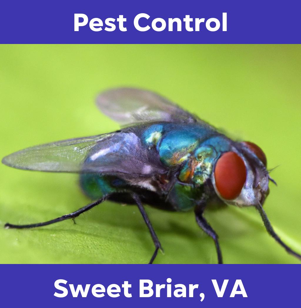 pest control in Sweet Briar Virginia
