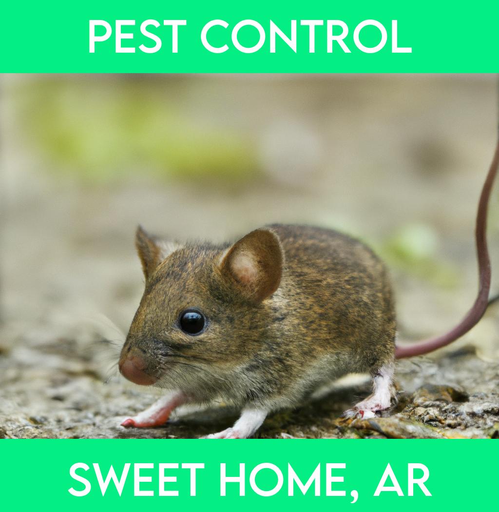 pest control in Sweet Home Arkansas