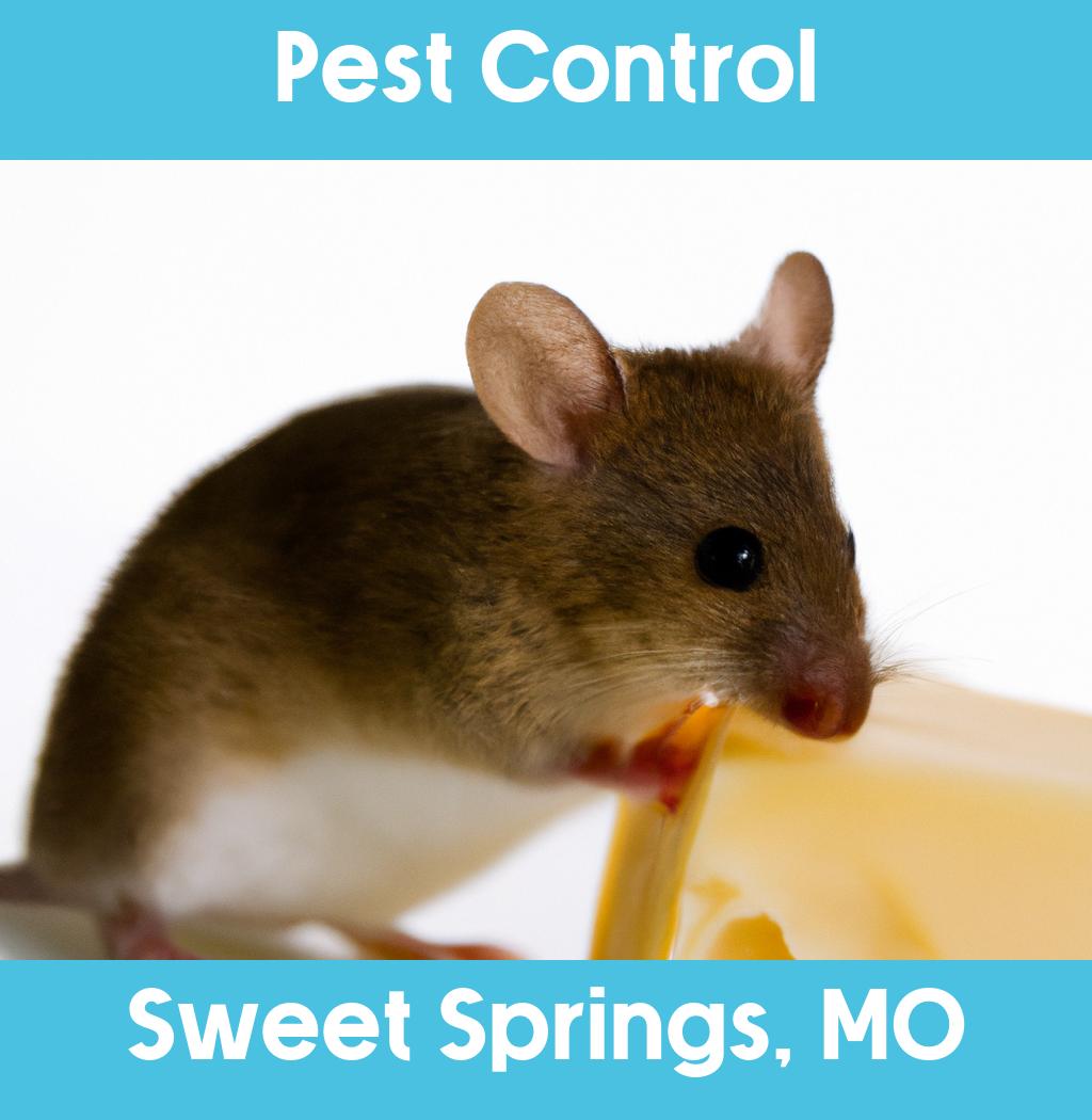 pest control in Sweet Springs Missouri