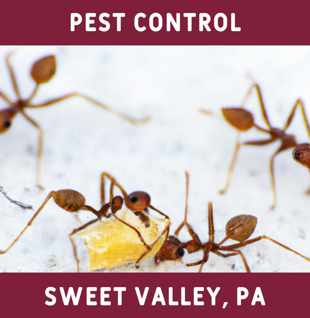 pest control in Sweet Valley Pennsylvania