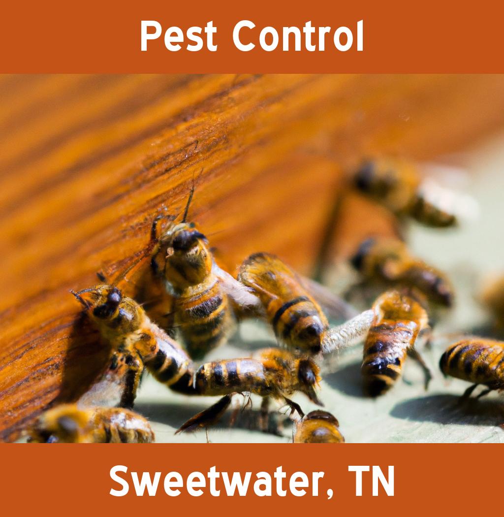 pest control in Sweetwater Tennessee