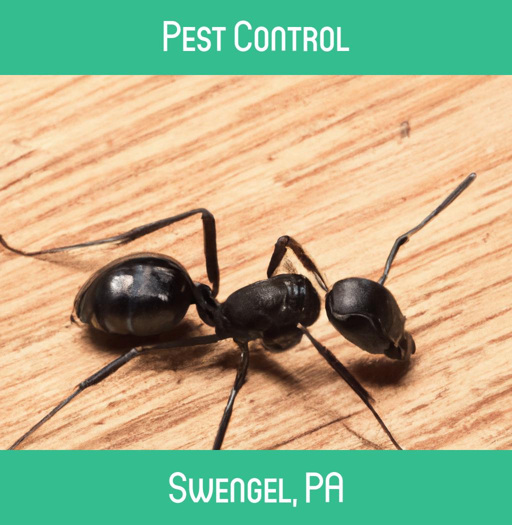 pest control in Swengel Pennsylvania