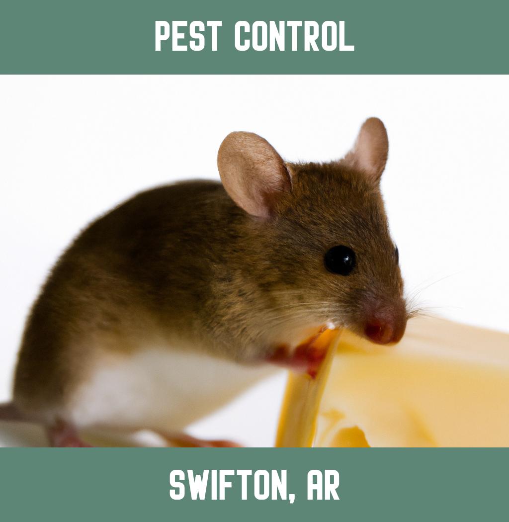 pest control in Swifton Arkansas